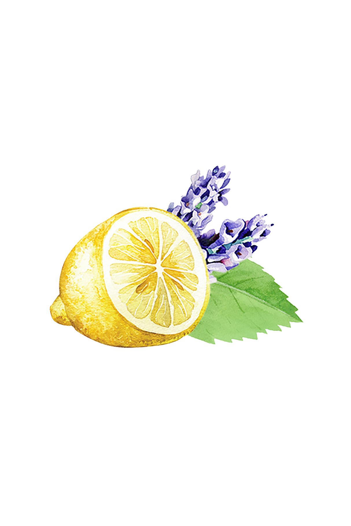 Lavender, Lemon & Mint Essential Oil Blend