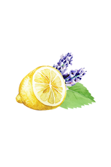 Lavender, Lemon & Mint Essential Oil Blend