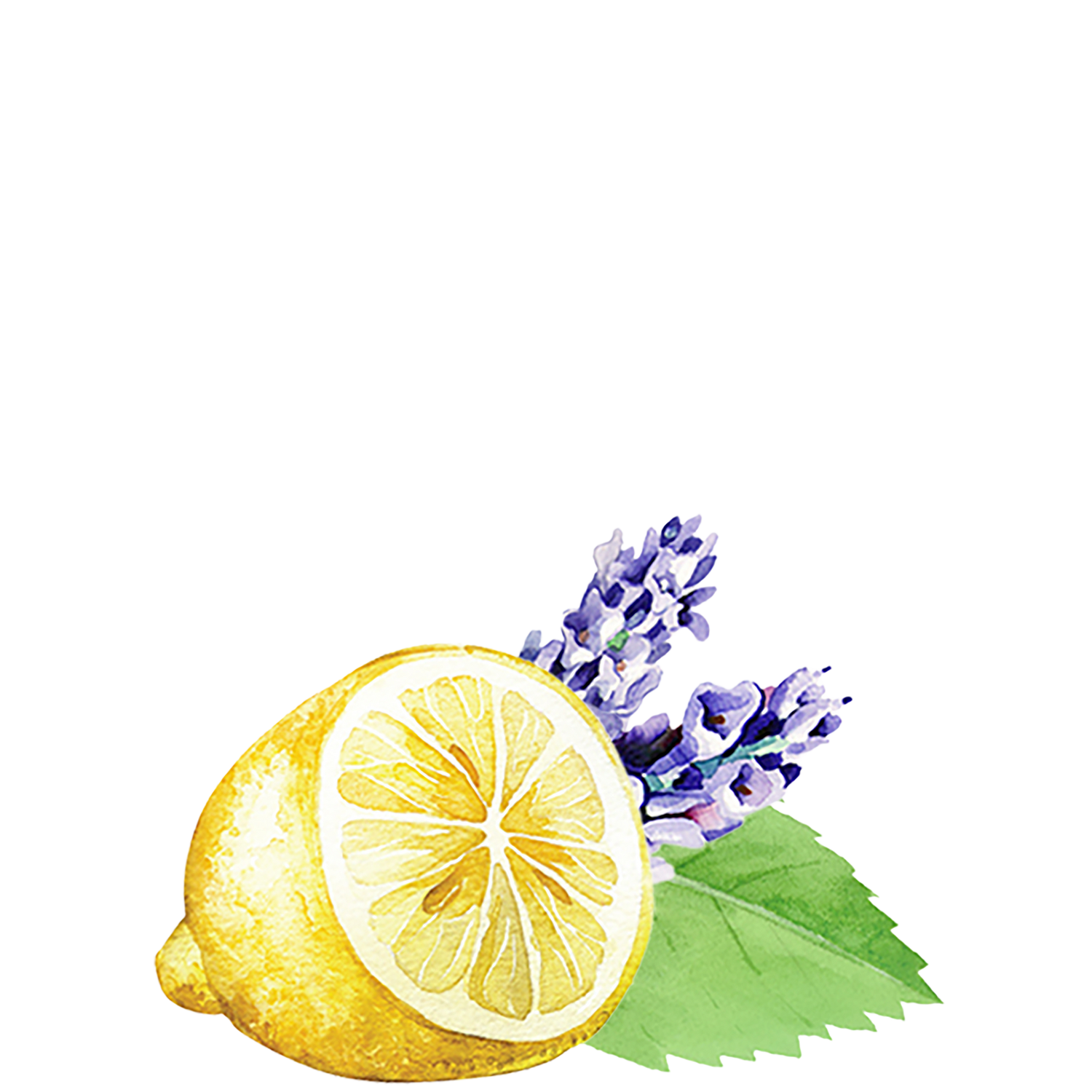 Lots of Purpose Spray Cleaner | Lavender, Lemon & Mint
