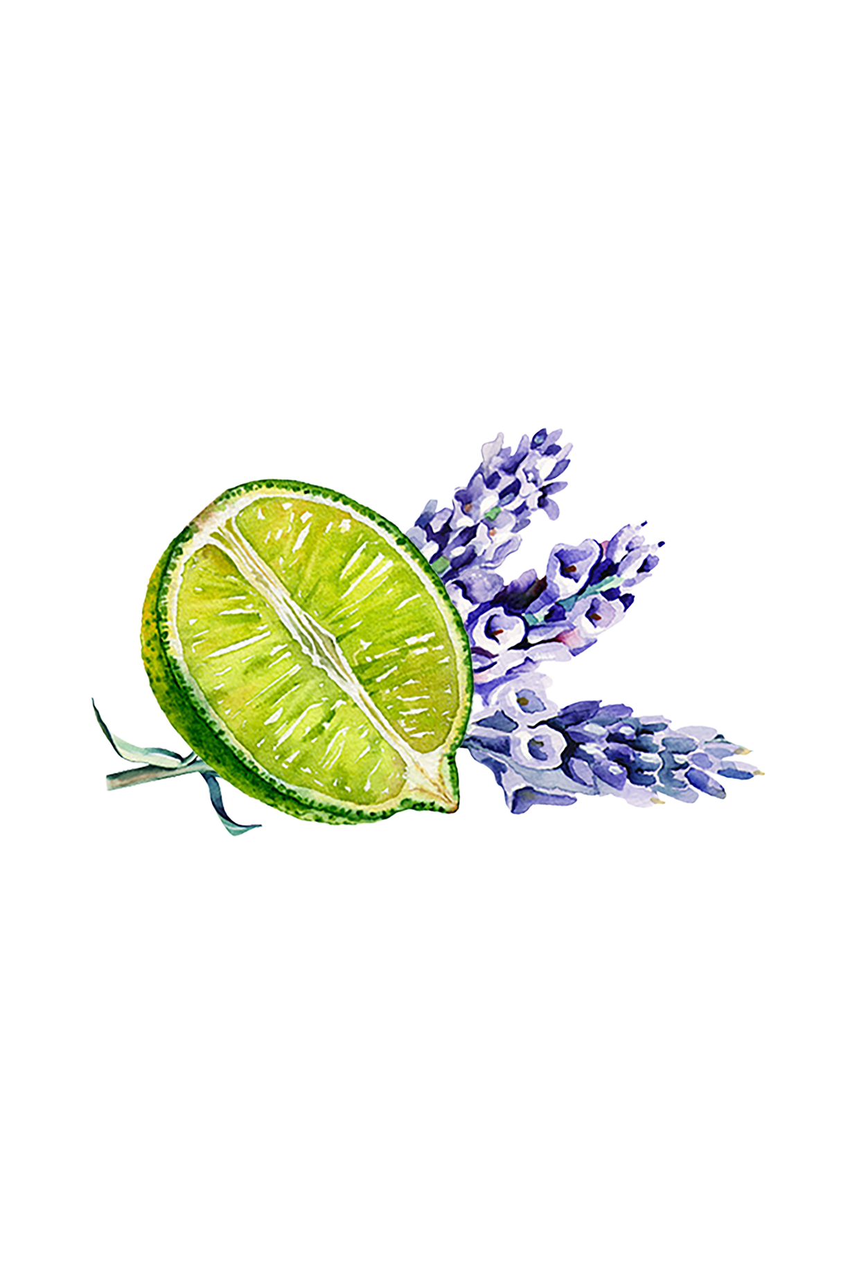 Lavender & Lime Essential Oil Blend