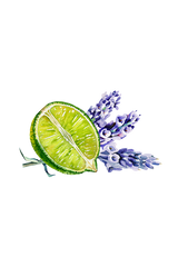 Lavender & Lime Essential Oil Blend