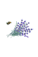 Hand Soap | Lavender Fields