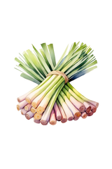 Lemongrass Essential Oil