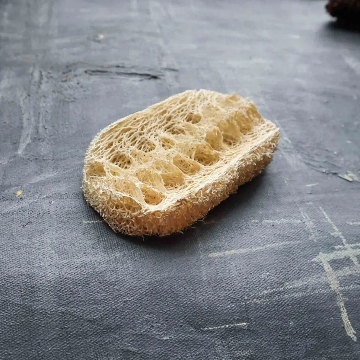 EarthShopp Loofah Dishwashing Sponge