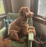 Pet Salve & Lavender Balm