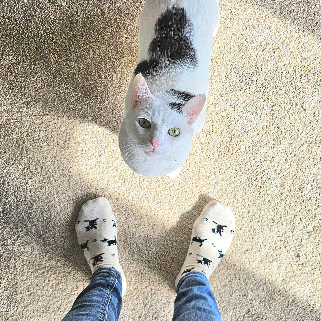 Socks that Save Cats