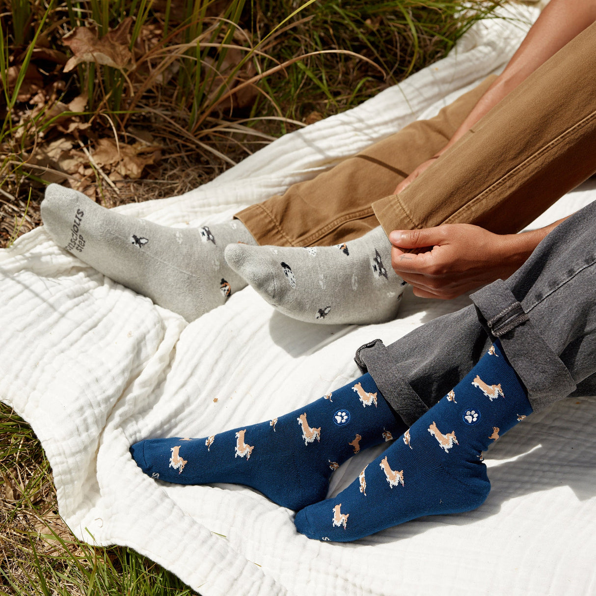 Socks that Save Dogs