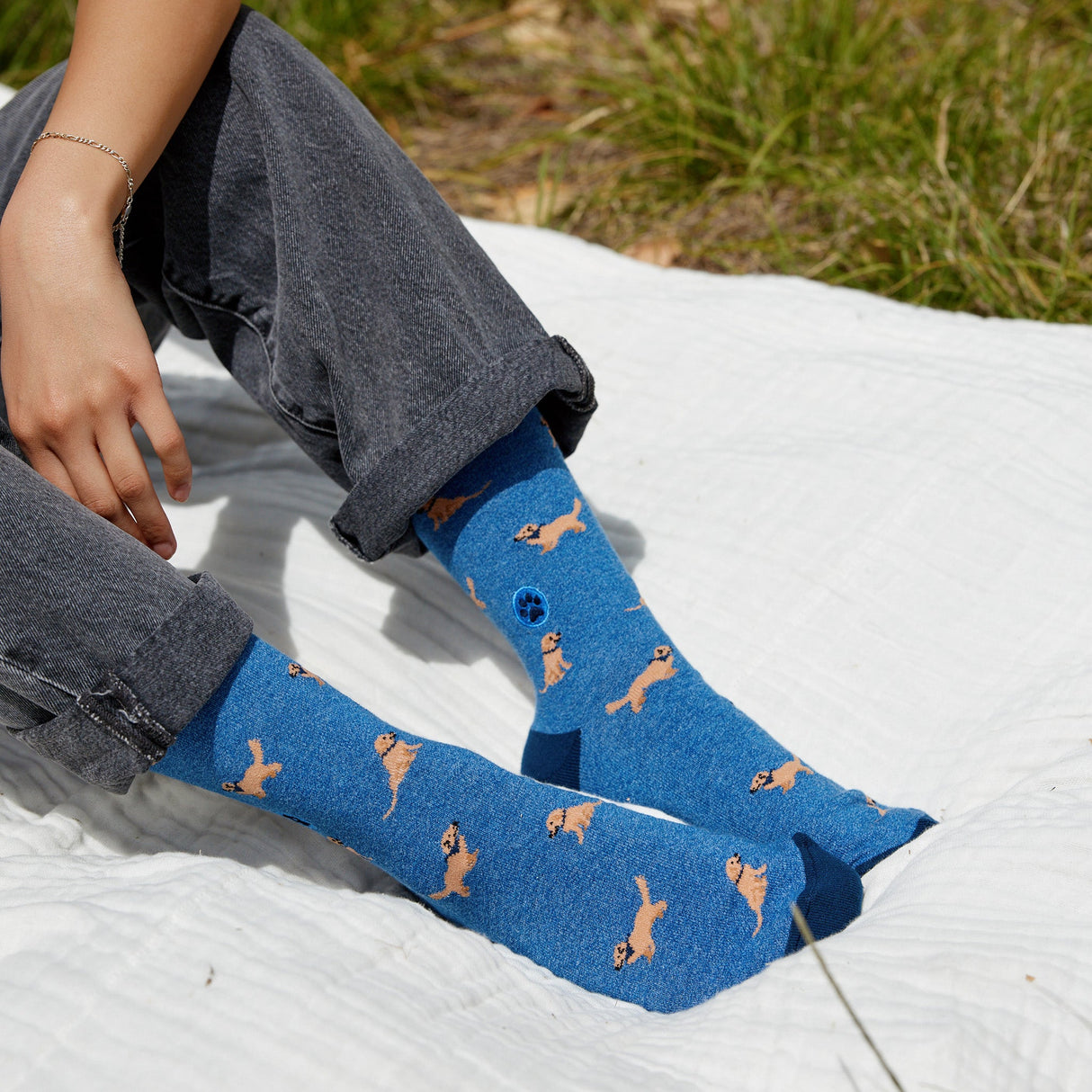 Socks that Save Dogs
