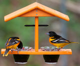 Oriole Bird Feeder, Double-Cup Jelly Oriole Feeder with Pegs for Orange Halves