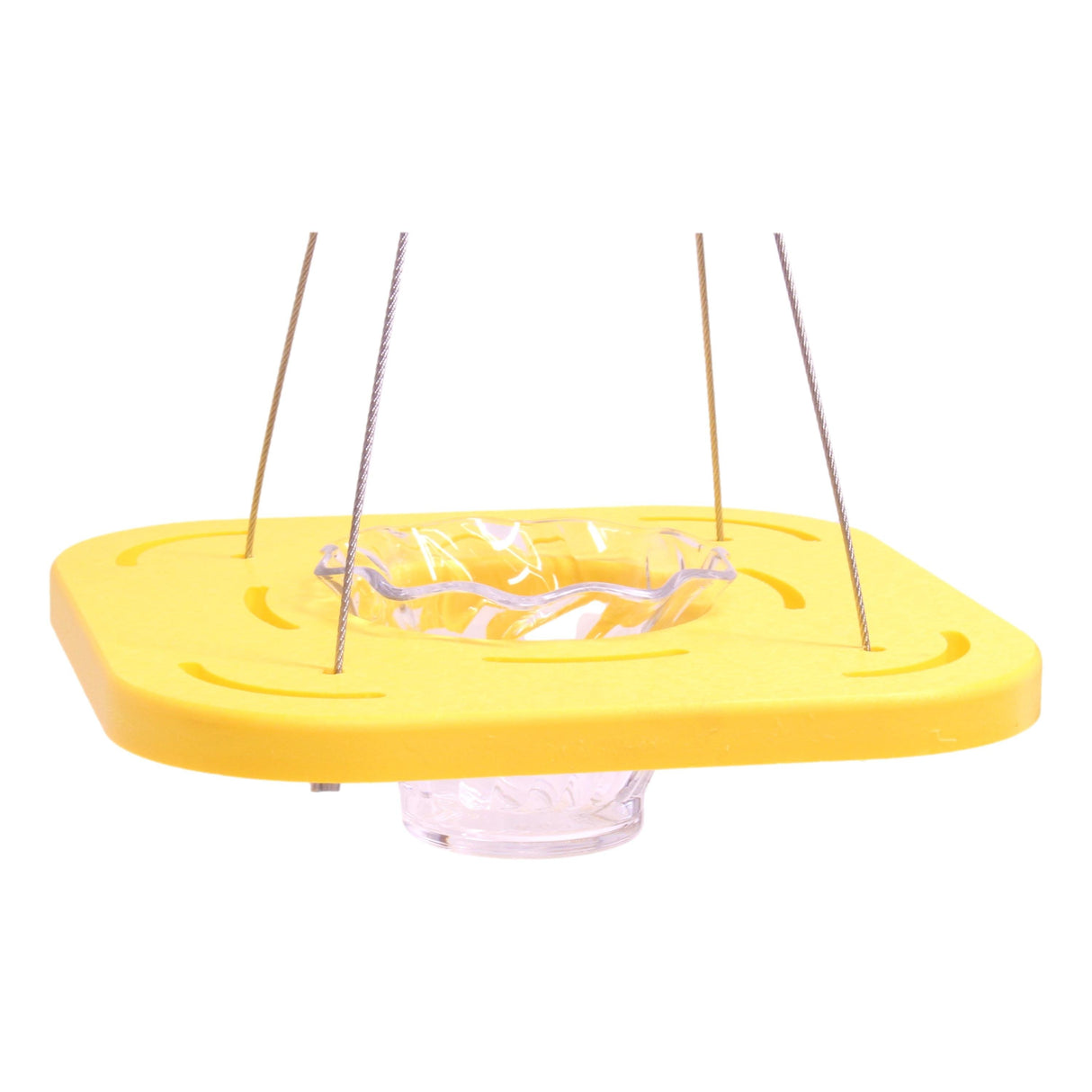 Oriole Bird Feeder, Porch Jelly-Cup Oriole Feeder