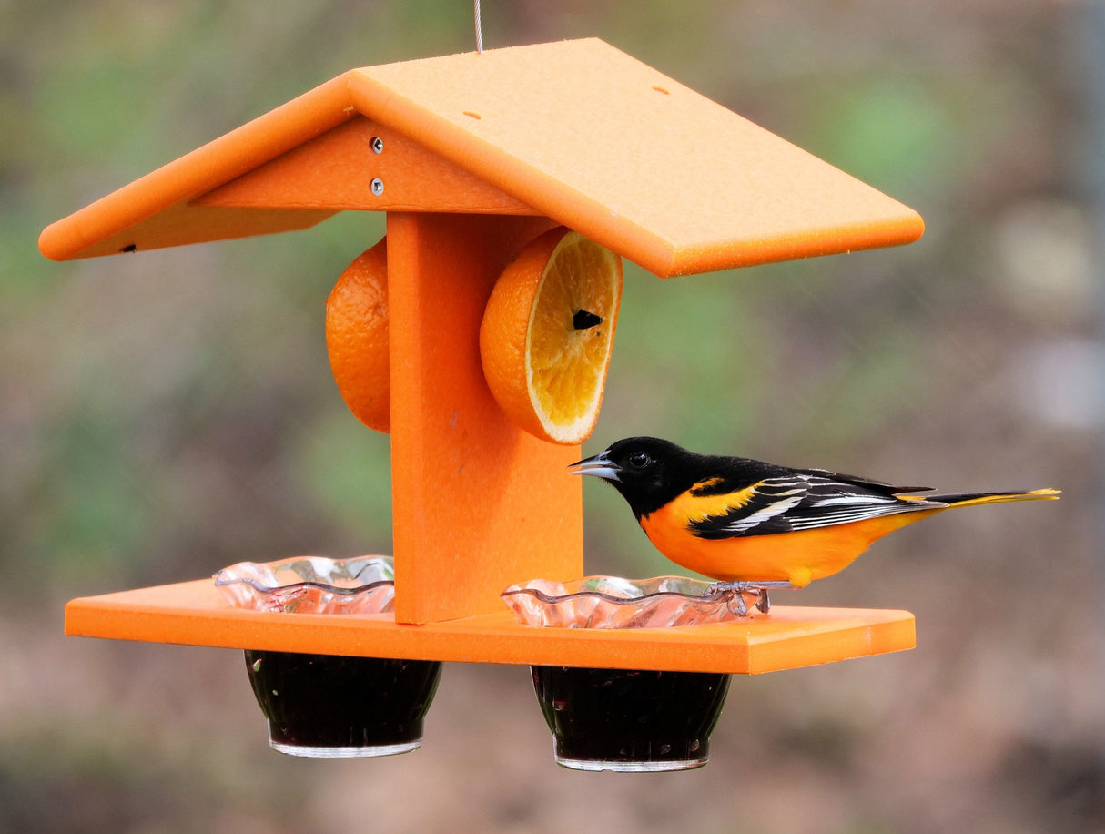 Oriole Bird Feeder, Double-Cup Jelly Oriole Feeder with Pegs for Orange Halves