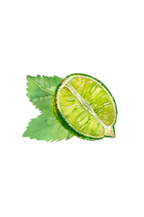 Hand Soap | Invigorating