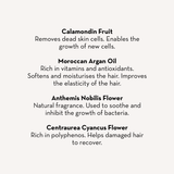 Hair Mask Scalp Treatment & Miracle Shampoo