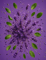 CALMING FIELDS Natural Deodorant