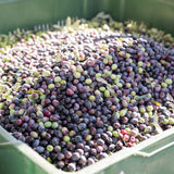 Mini Extra Virgin Olive Oil