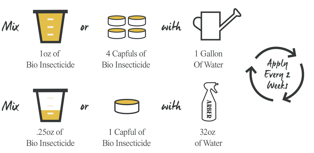 Organic Bio Insecticide