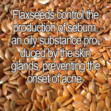 Organic Pumpkin & Flaxseed Enzyme Face Mask