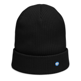 Organic Ribbed Beanie