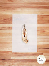 Rabbit Chews & Hides (Hairy)