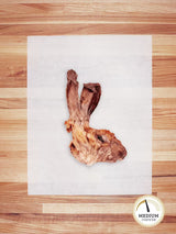 Rabbit Chews & Hides (Hairy)