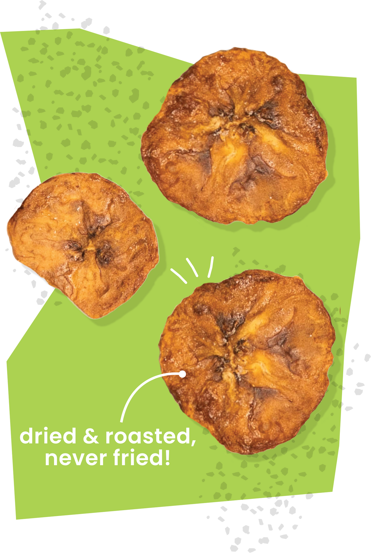 Salted Olive Oil Plantain Chips (Minis!) - 12 pack