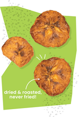 Salted Olive Oil Plantain Chips (Minis!) - 12 pack