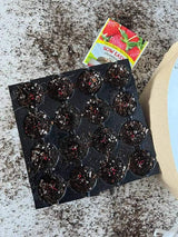 Seedling Mix - Seed Starting Soil