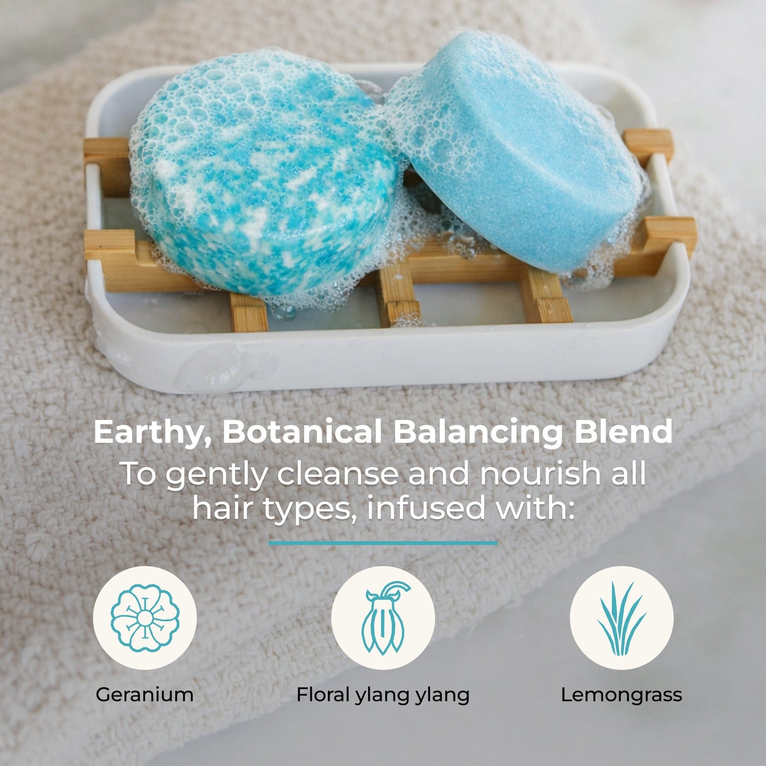 Shampoo & Conditioner Bar Duo