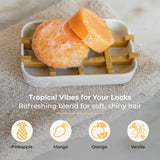 Shampoo & Conditioner Bar Duo