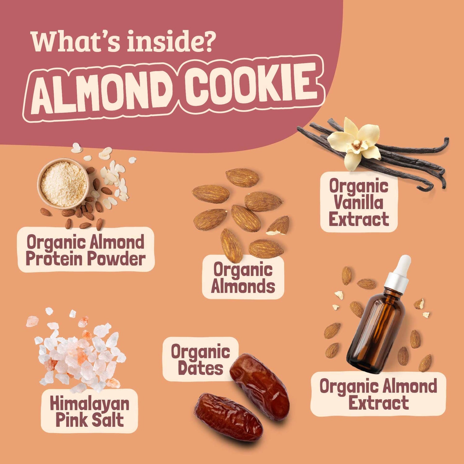 Skout Organic Almond Cookie Kids Bar