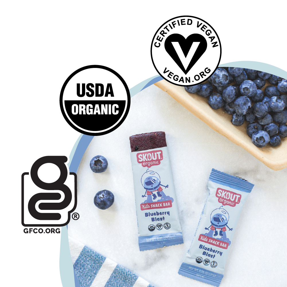 Skout Organic Blueberry Blast Kids Bar