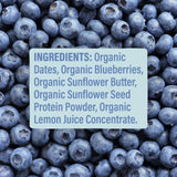 Skout Organic Blueberry Blast Kids Bar
