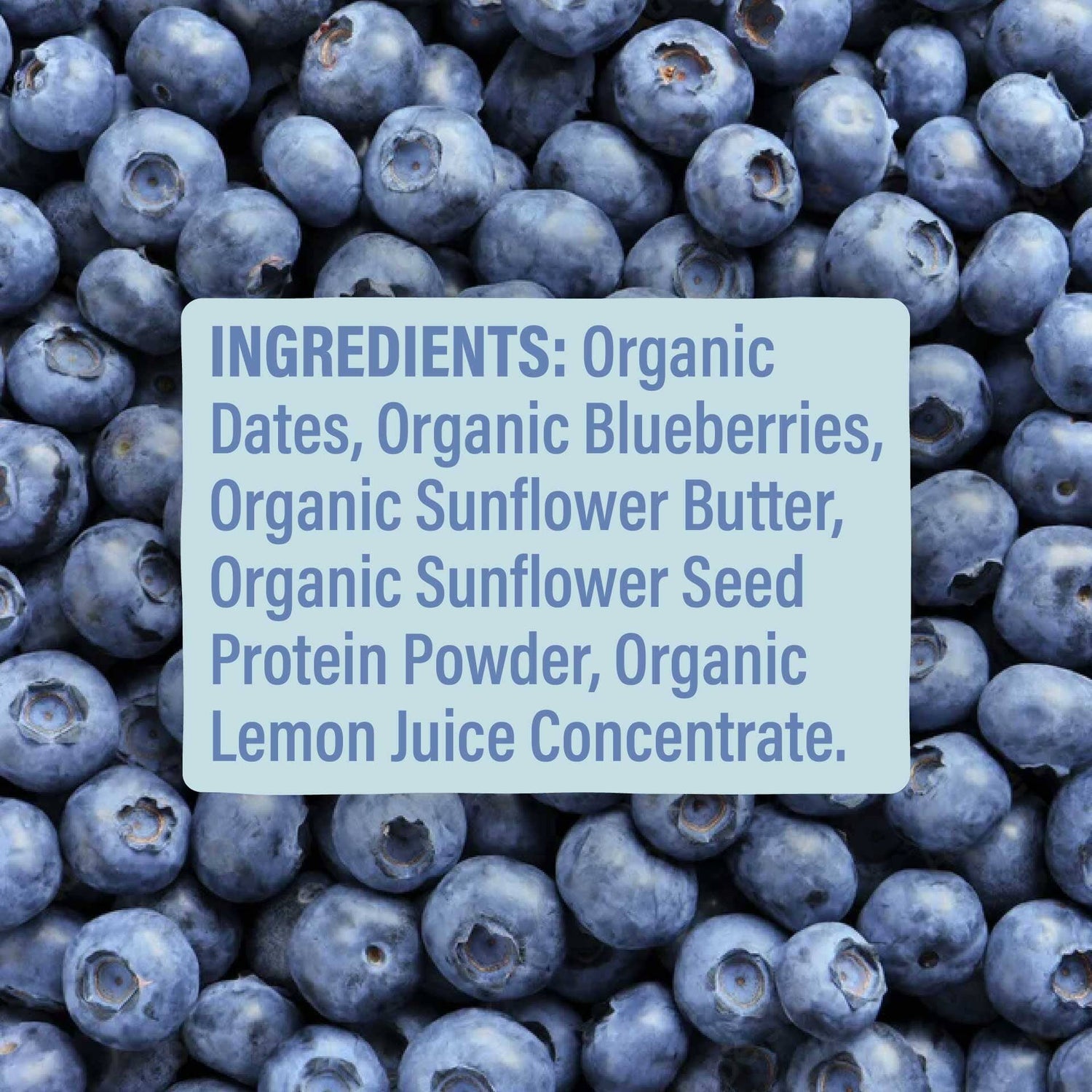 Skout Organic Blueberry Blast Kids Bar