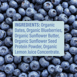 Skout Organic Blueberry Blast Kids Bar