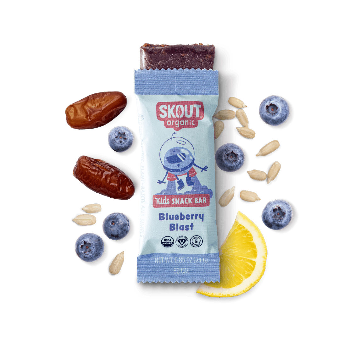 Skout Organic Blueberry Blast Kids Bar