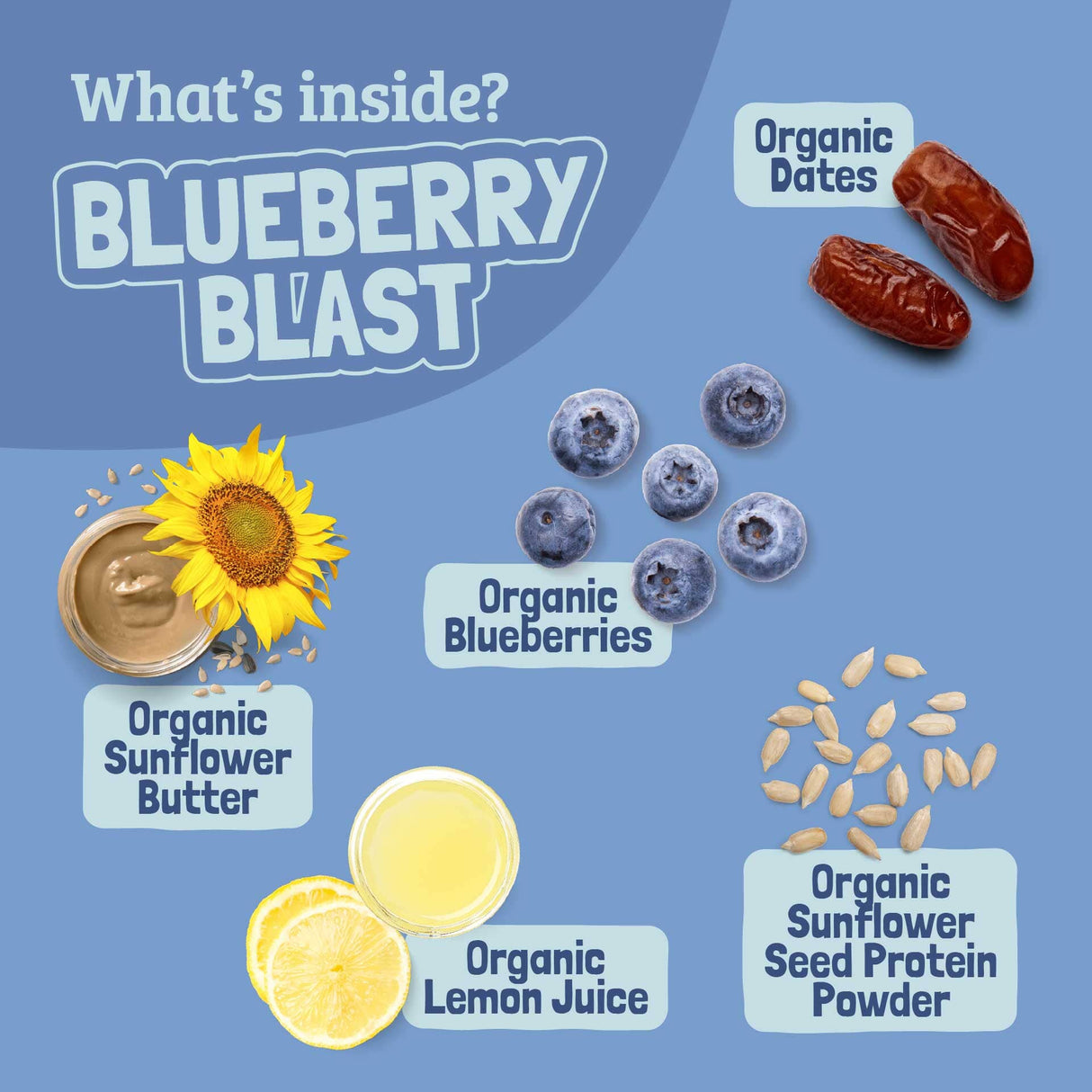 Skout Organic Blueberry Blast Kids Bar