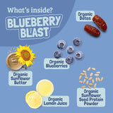 Skout Organic Blueberry Blast Kids Bar