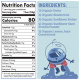 Skout Organic Blueberry Blast Kids Bar