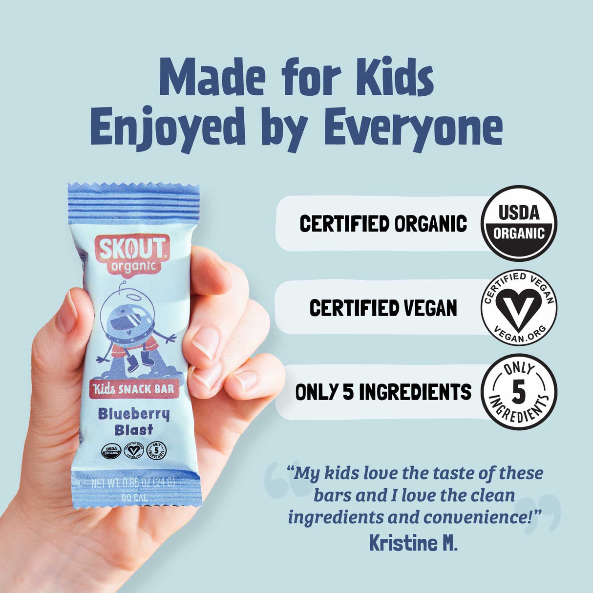 Skout Organic Blueberry Blast Kids Bar