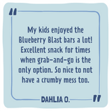 Skout Organic Blueberry Blast Kids Bar