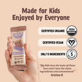 Skout Organic Chocolate Brownie Kids Bar