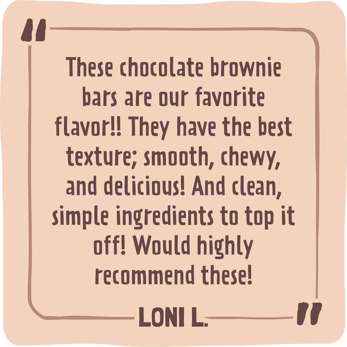 Skout Organic Chocolate Brownie Kids Bar