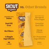 Skout Organic Chocolate Peanut Butter Kids Bar