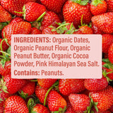 Skout Organic Peanut Butter & Jelly Kids Bar