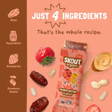 Skout Organic Peanut Butter & Jelly Kids Bar