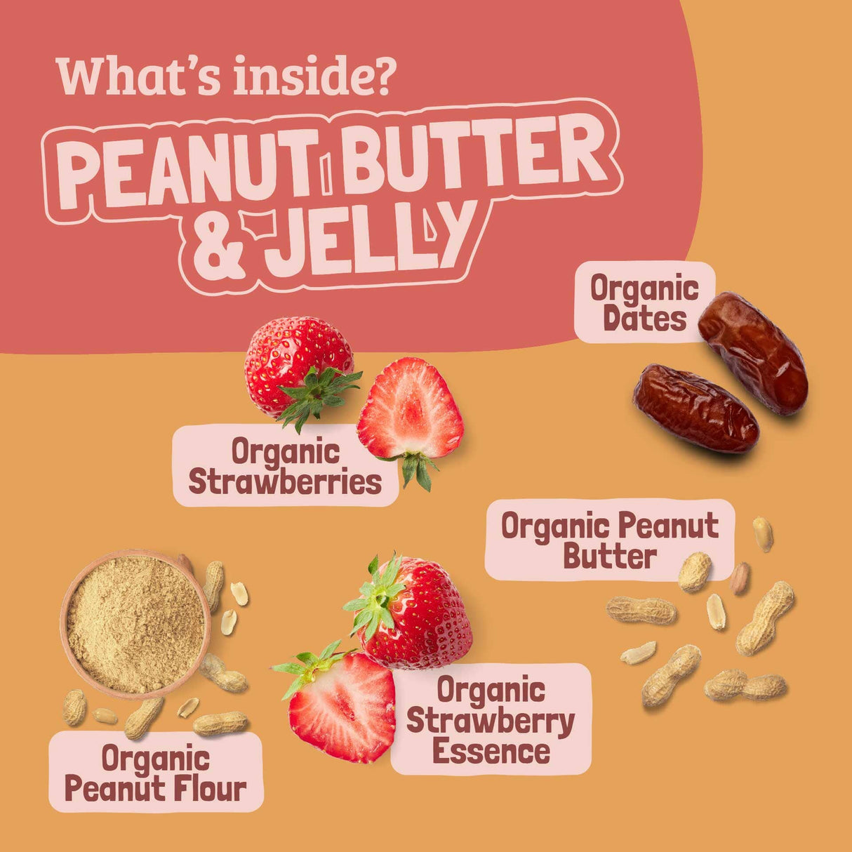 Skout Organic Peanut Butter & Jelly Kids Bar