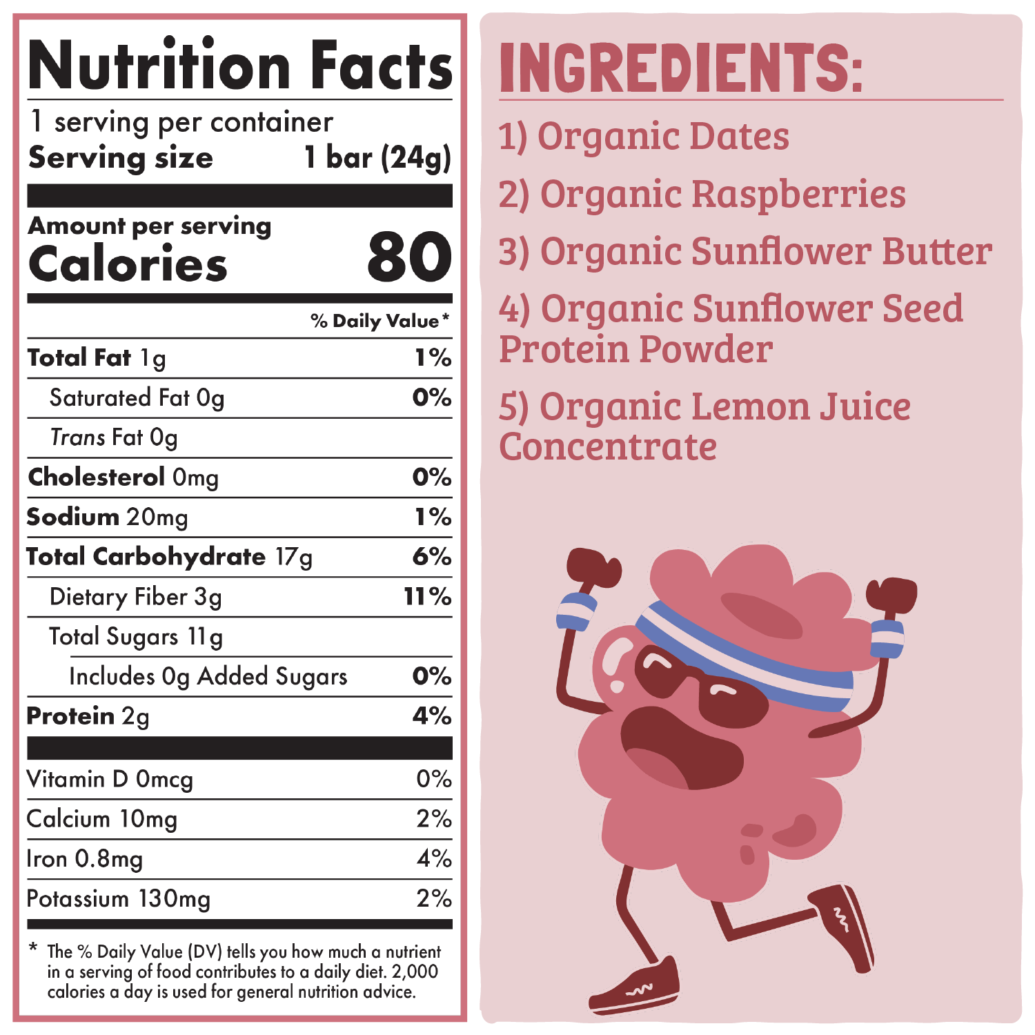 Skout Organic Raspberry Rush Kids Bar
