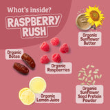 Skout Organic Raspberry Rush Kids Bar