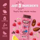 Skout Organic Raspberry Rush Kids Bar