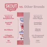 Skout Organic Raspberry Rush Kids Bar